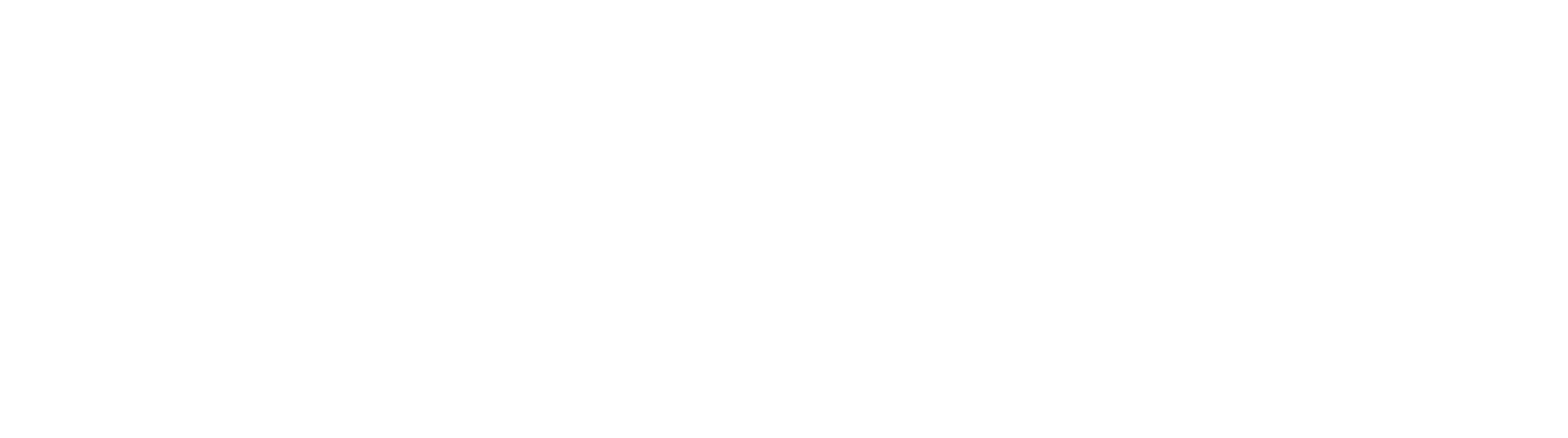 Arthur J Bruckheim Ph.D Consulting Services